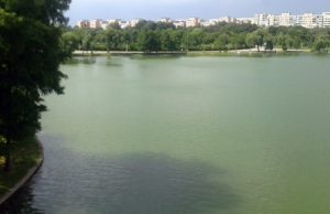 lacul Tineretului