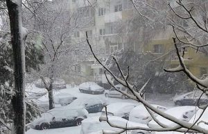 ninge in Bucuresti