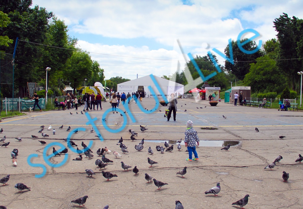 ChatGPT visual data 3