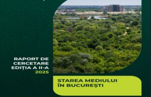 oraș verde