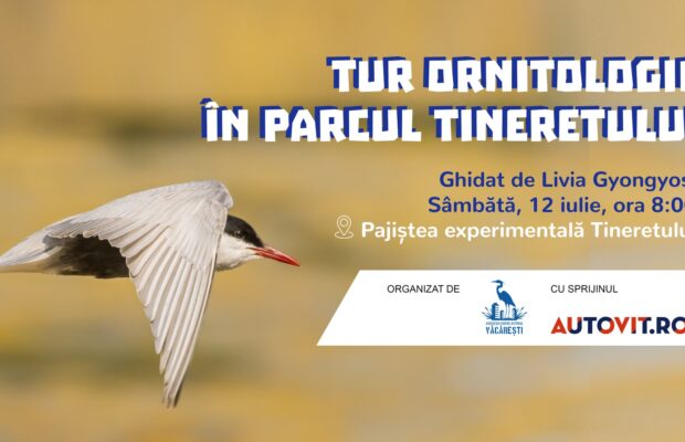 Tur ornitologic