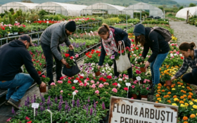 Cinci persoane reținute după ce ar fi furat flori de 20.000 de euro dintr-o seră din Sectorul 4