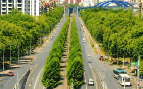 A început amenajarea scuarului central de pe Calea Văcărești. Peste 300 de arbori vor fi plantați aici