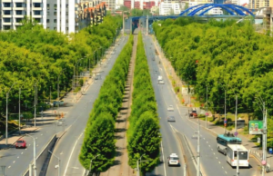 Calea Văcărești