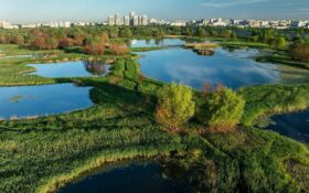 Primăria Capitalei anunță proiectul „Centură Verde a Bucureștiului”, cu aproximativ 250 de hectare de spații verzi noi